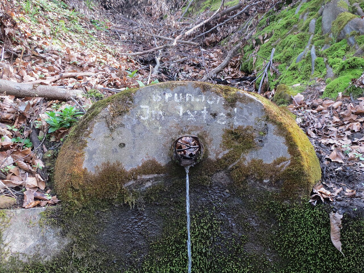 Brunnen "Im Ixtel" im Stiftswald Sankt Arnual
