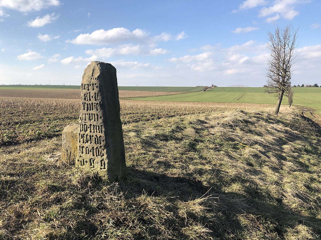 Der Brunstein (Südost-Seite) auf der Gemarkungsgrenze zwischen Bischleben/Stedten und Schmira