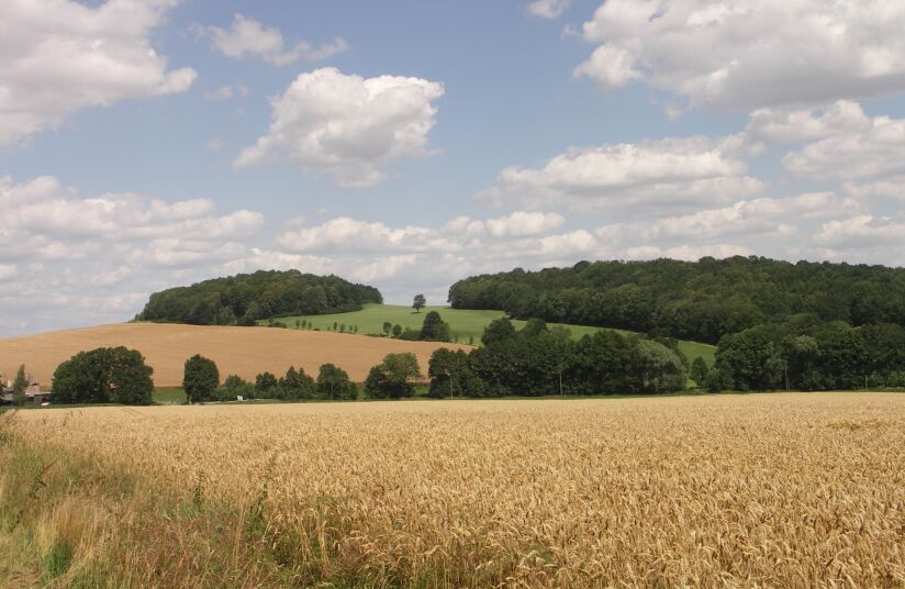Bubenik mountain, Saxony, Germany