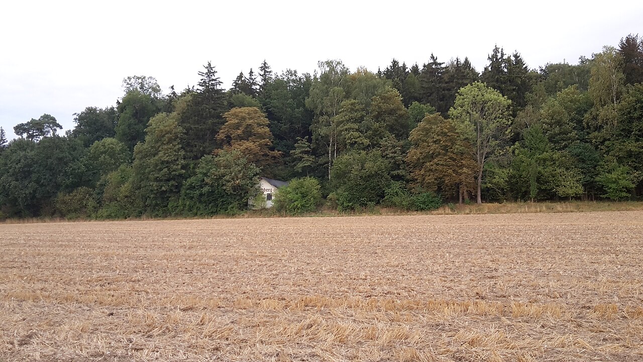 Buchberg (Nersingen) von Westen her gesehen