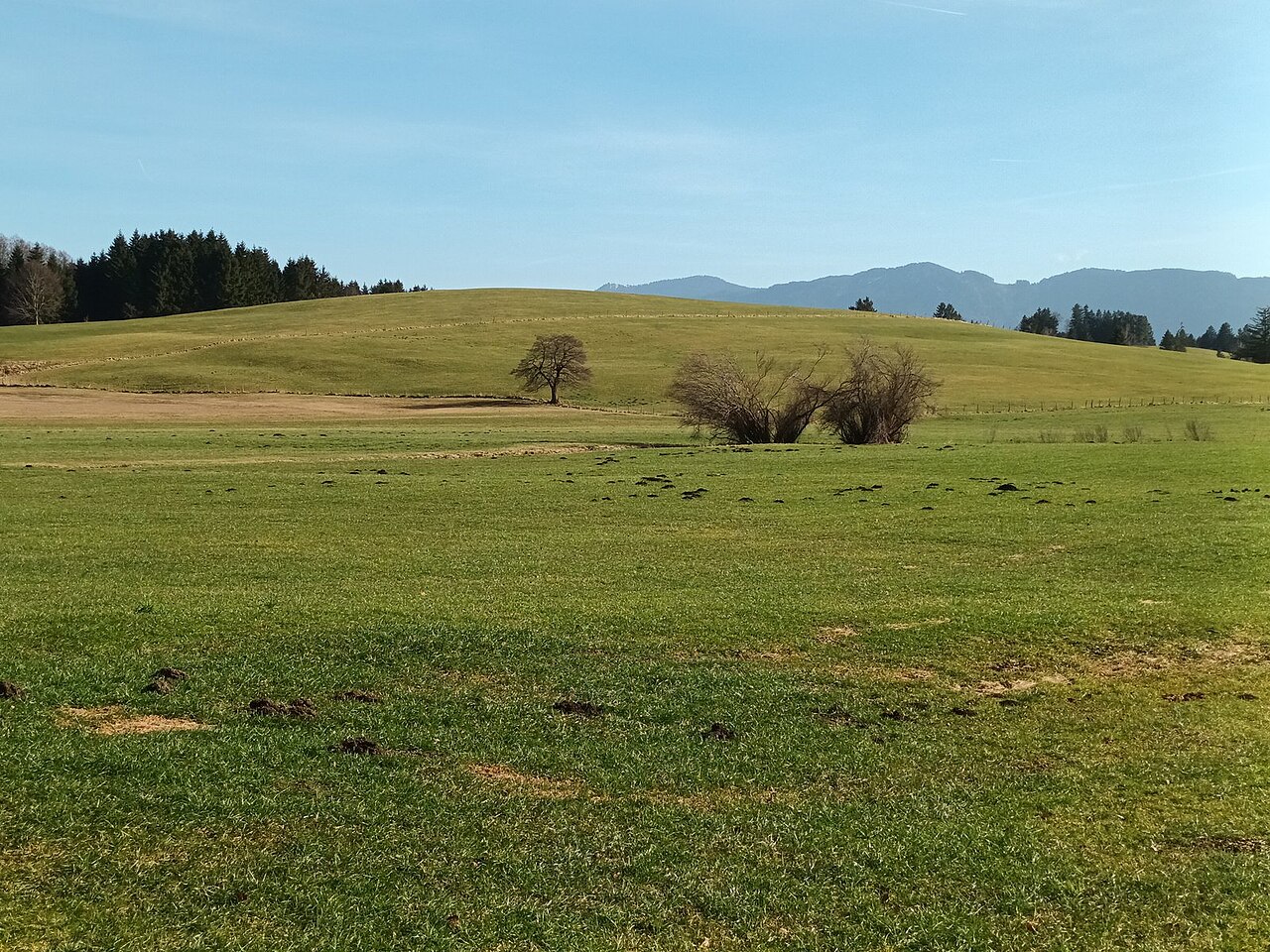 Der Hügel Bucheck (808 m) in der Gemeinde Lechbruck nördlich des Schmutterweihers, Ansicht von Nordwesten