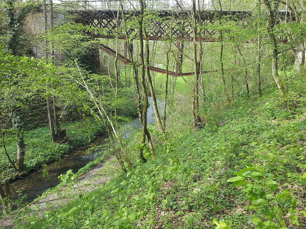 Foto von Buchenbachtal