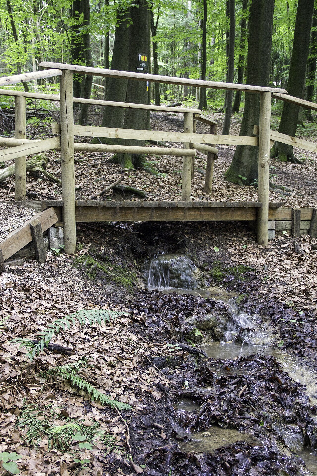 Steinerne Rinne bei Engelthal
