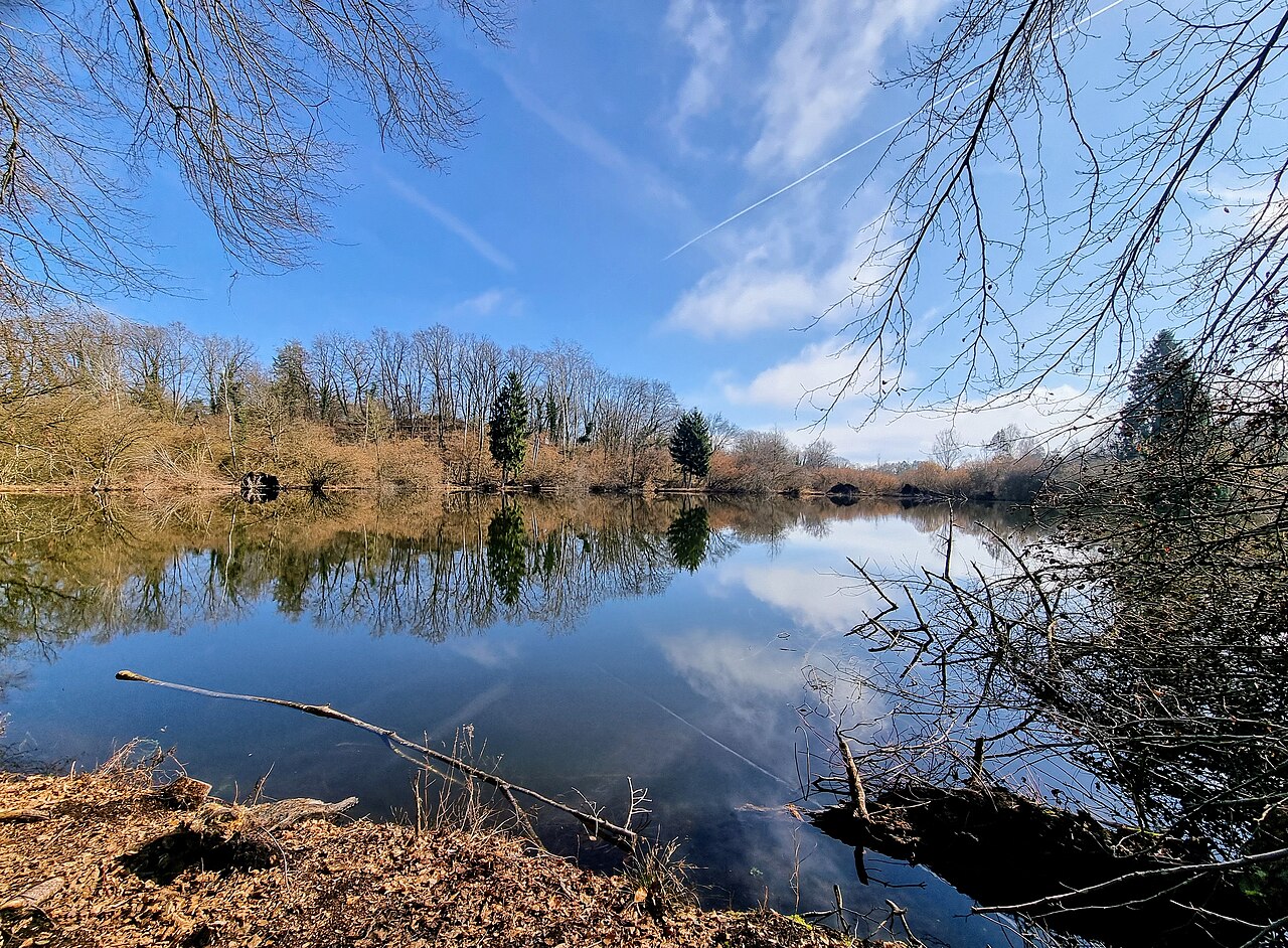 Foto von Buchenseen (Güttinger Seen)