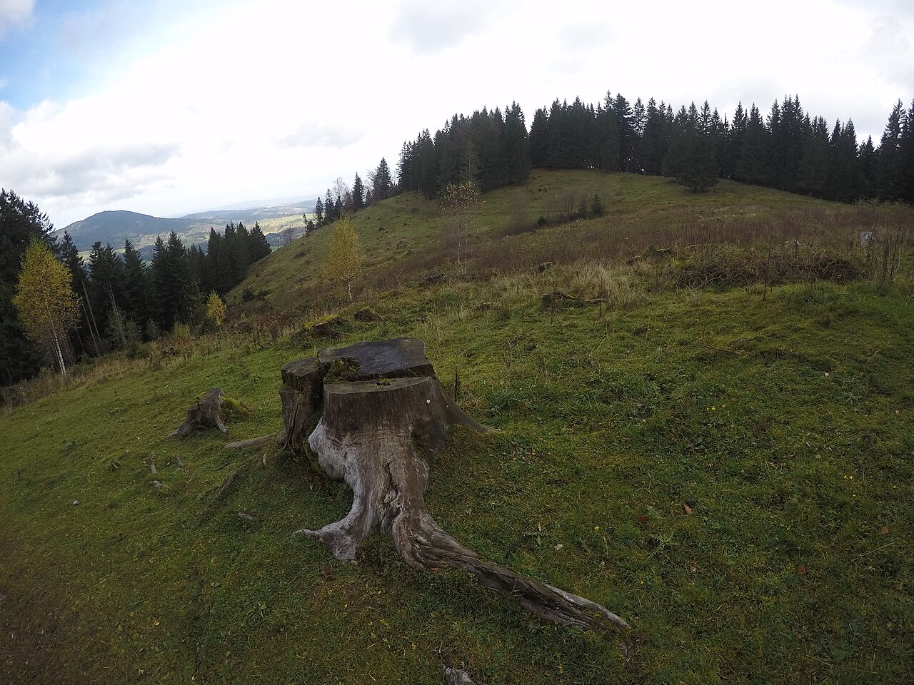 Bucher Berg, Bavria