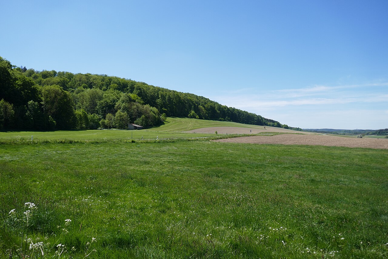 Landschaftsschutzgebiet „Freiflächen im Lühlingsbachtal“