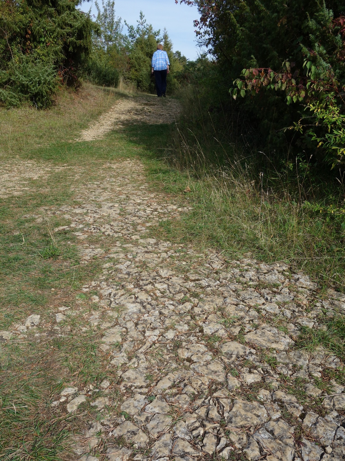 Rundweg im Naturschutzgebiet Büchelberg