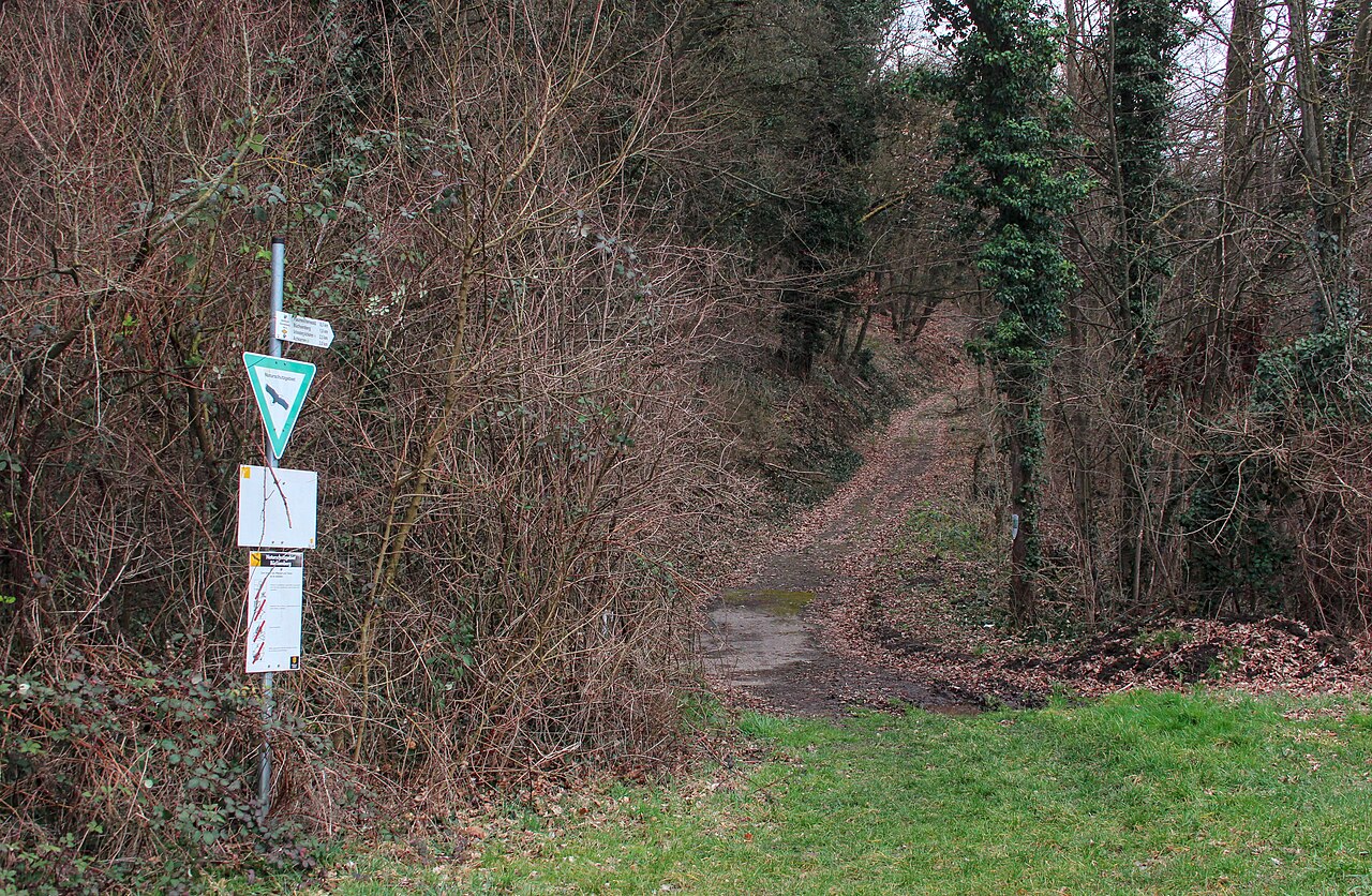 Naturschutzgebiet Büchsenberg, Vogtsburg im Kaiserstuhl