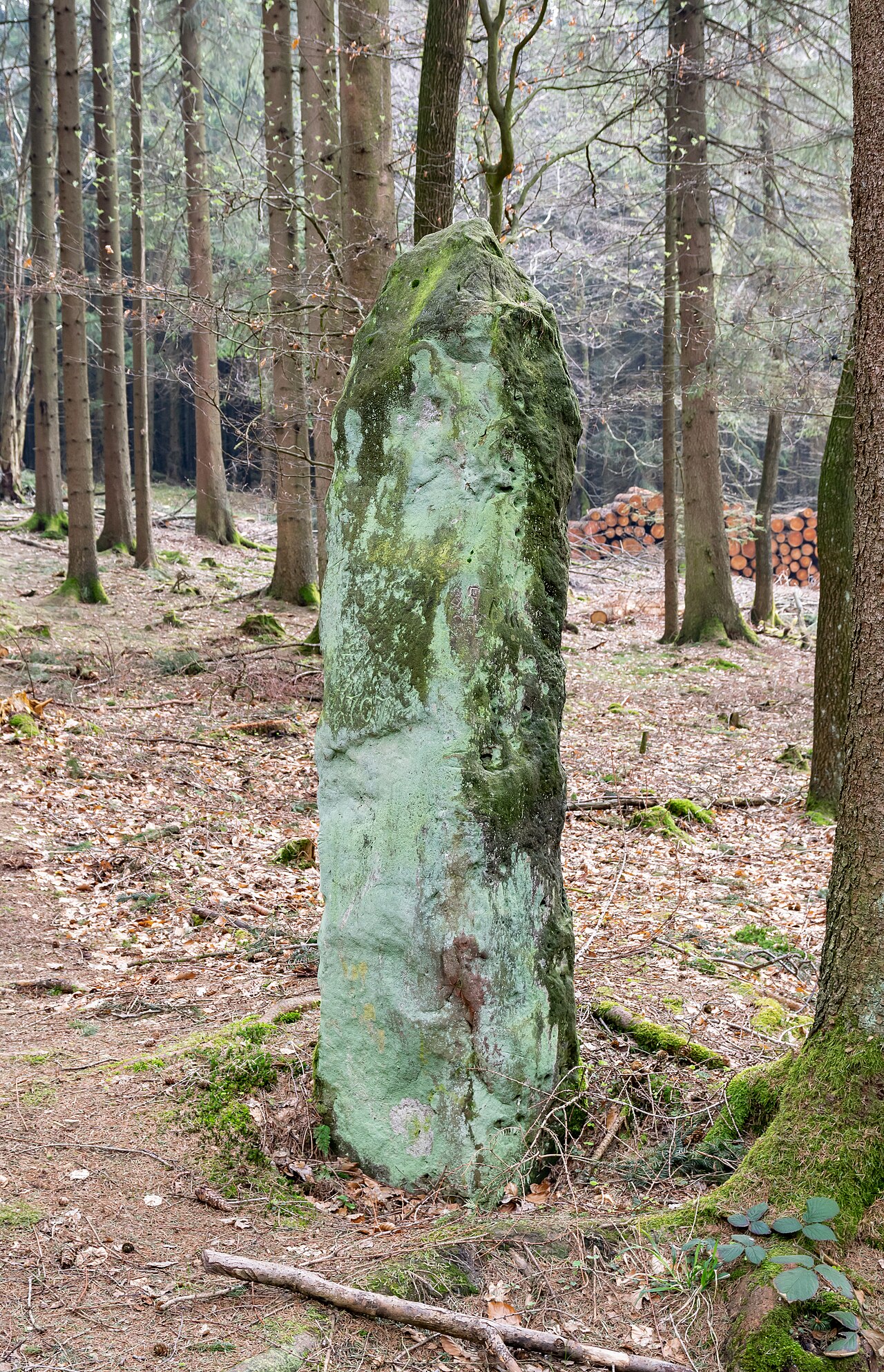 Die sogenannte "Bülheimer Großmutter", ein als Grenzstein umgenutzter Menhir im Wald bei Lichtenau-Kleinenberg