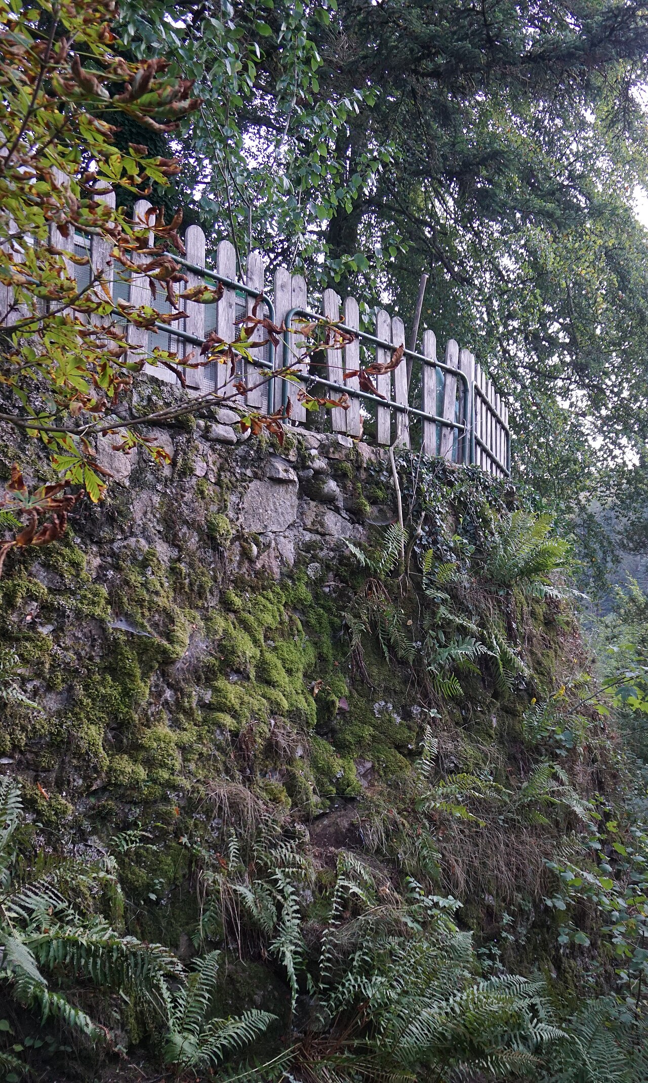 Stützmauer der Befestigungsanlagen der Bürchauer Burg zum Hollbach hin