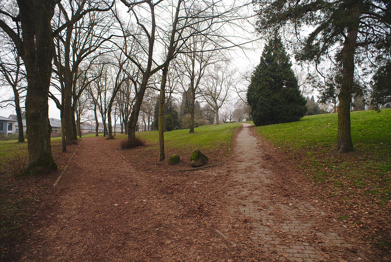 Eine Weggabelung im Bürgerpark in Völklingen