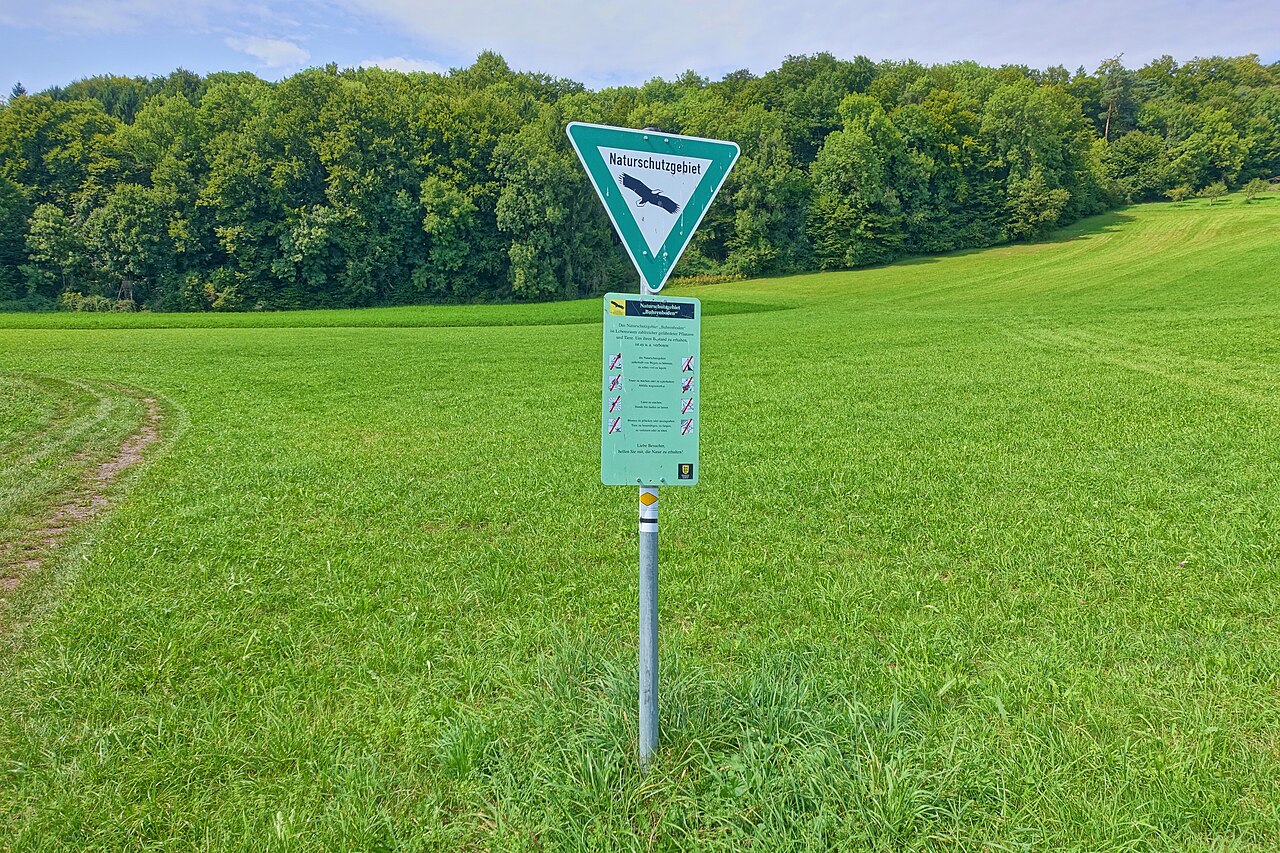 Laubwaldbestände,Magerrasen und Staudensäume