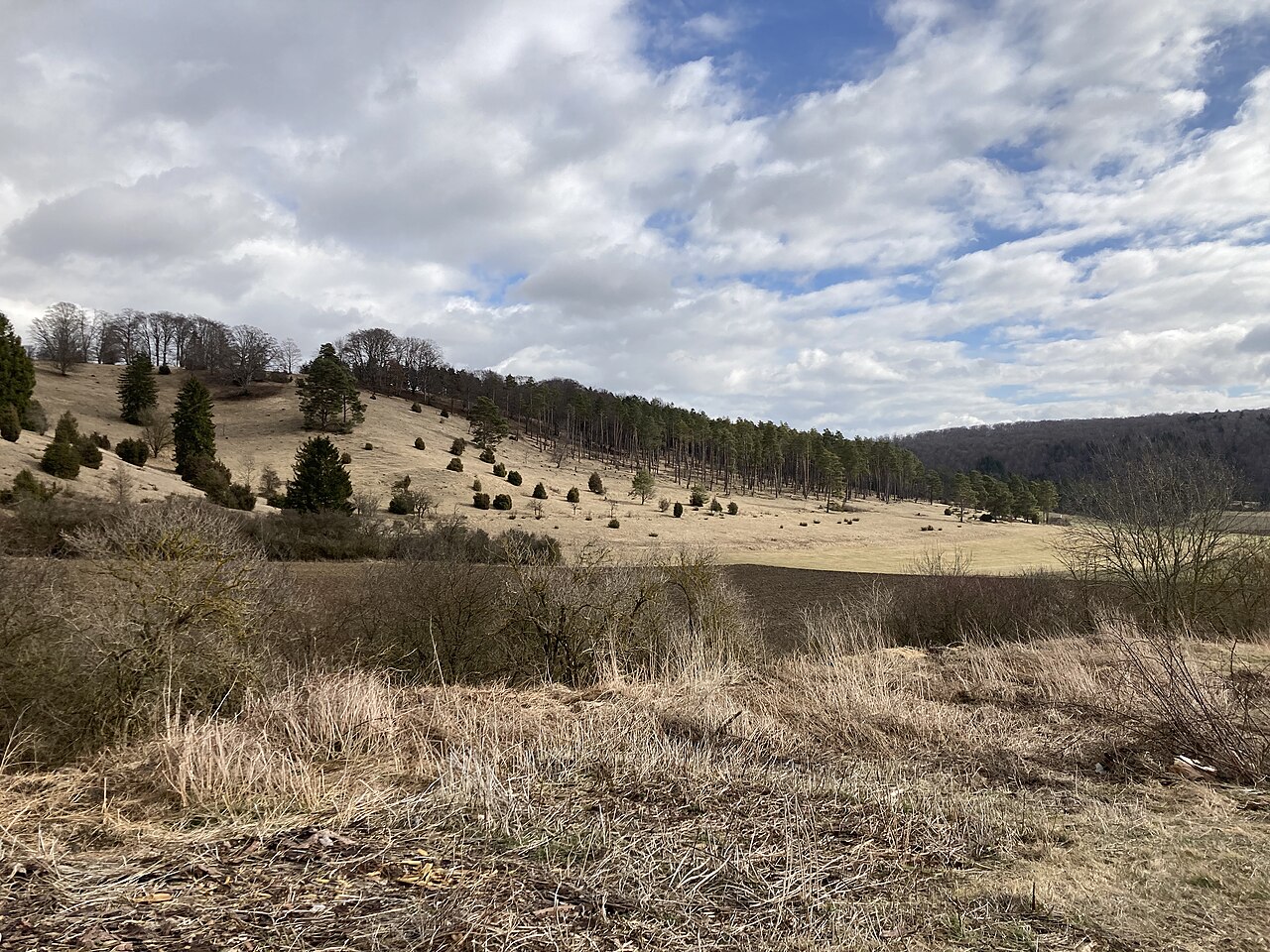 Nature reserve Bullenberg-Dudelberg-Stockhau (2022)