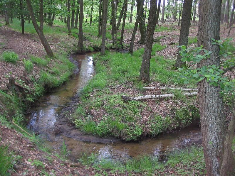 Foto von Bullenberger Bach/Klein Briesener Bach