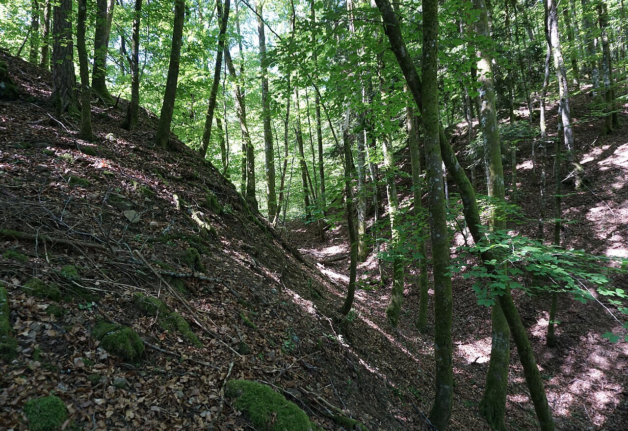 Burgruine Alt-Waldeck bei Tegernau im Kleinen Wiesental