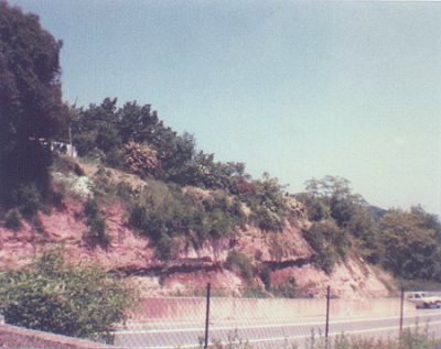Burgstelle Altenfelsberg bei St