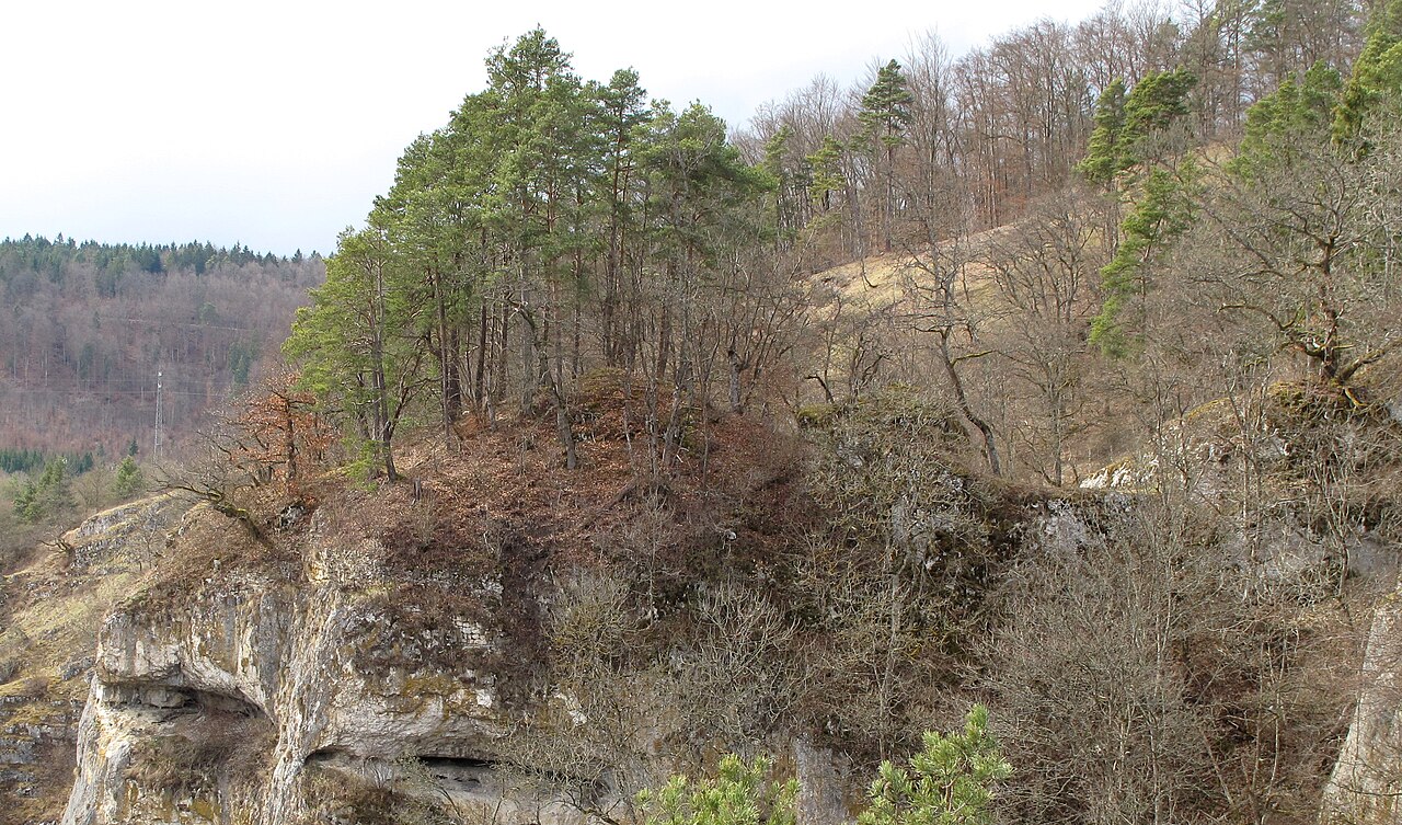Die Kernburg wenig unterhalb der Hochfläche in Spornlage auf dem ausgesetzten steilen Fels