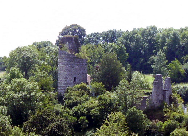 Burg Altmannstein Nordwest-Ansicht