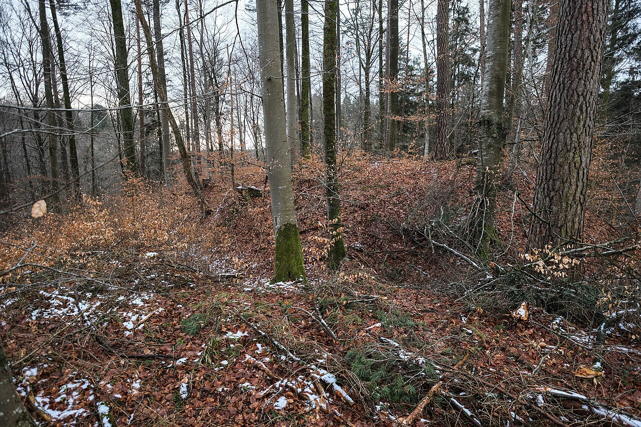 Remains of the lost castle Burg Bermatingen near Bermatingen, county Bodenseekreis, Baden Wurttemberg, Germany