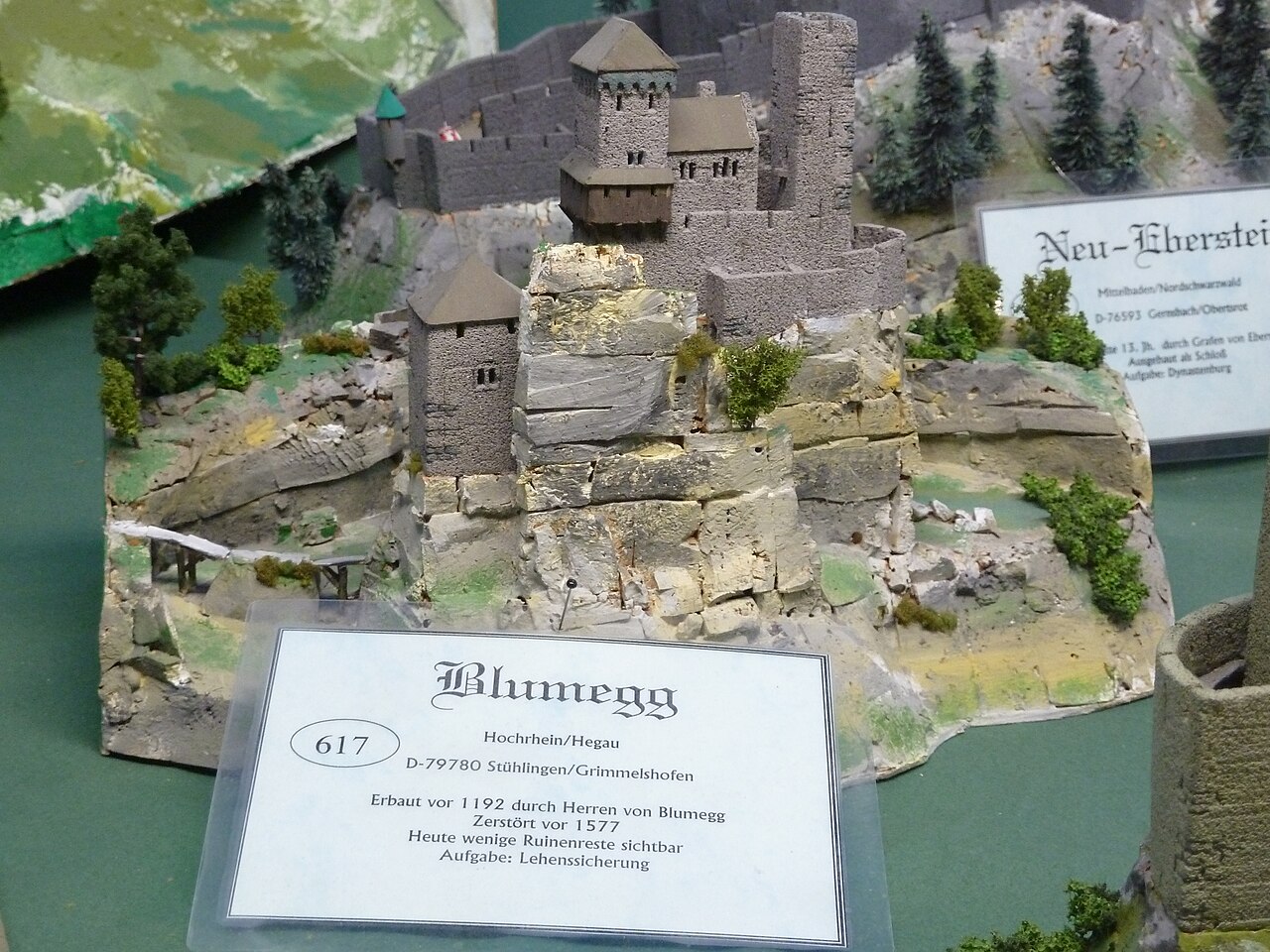 Foto von Burg Blumegg