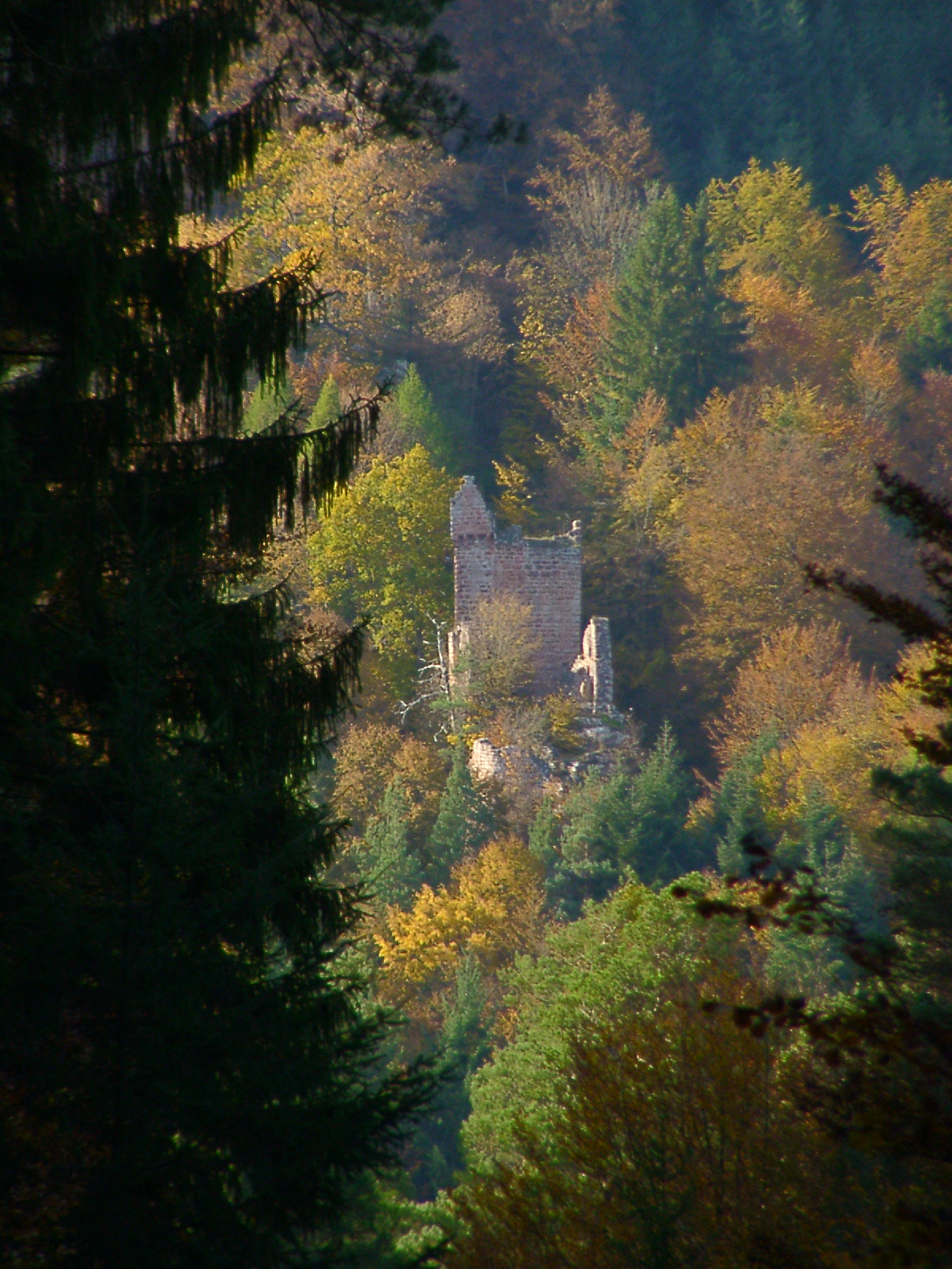 Burgruine Breitenstein