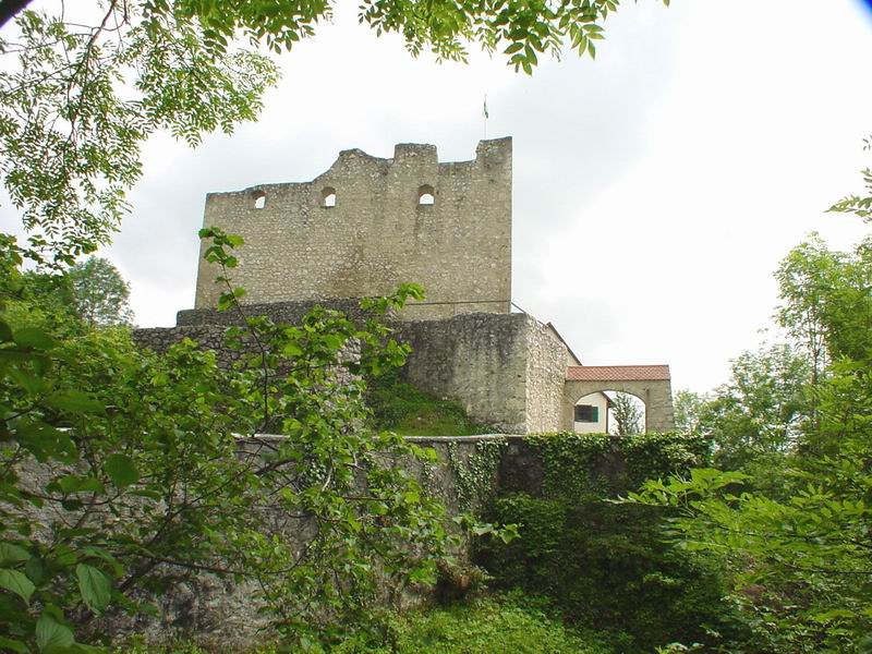 Derneck public domain, eigenes Foto von 2003 Zwingermauer und Schildmauer