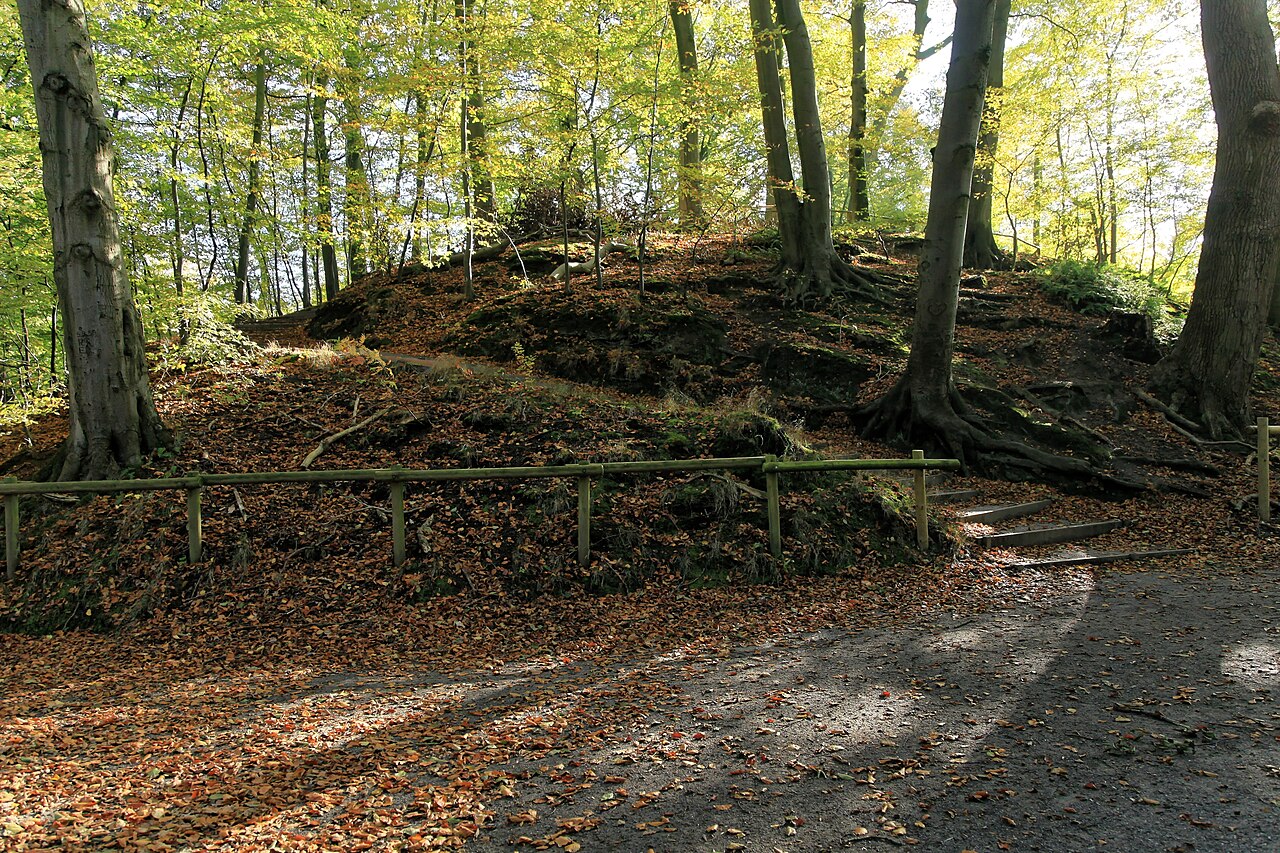 Hügel 1 der Burg Elmendorf, NSG Dreibergen, Dreiberger Straße in Bad Zwischenahn