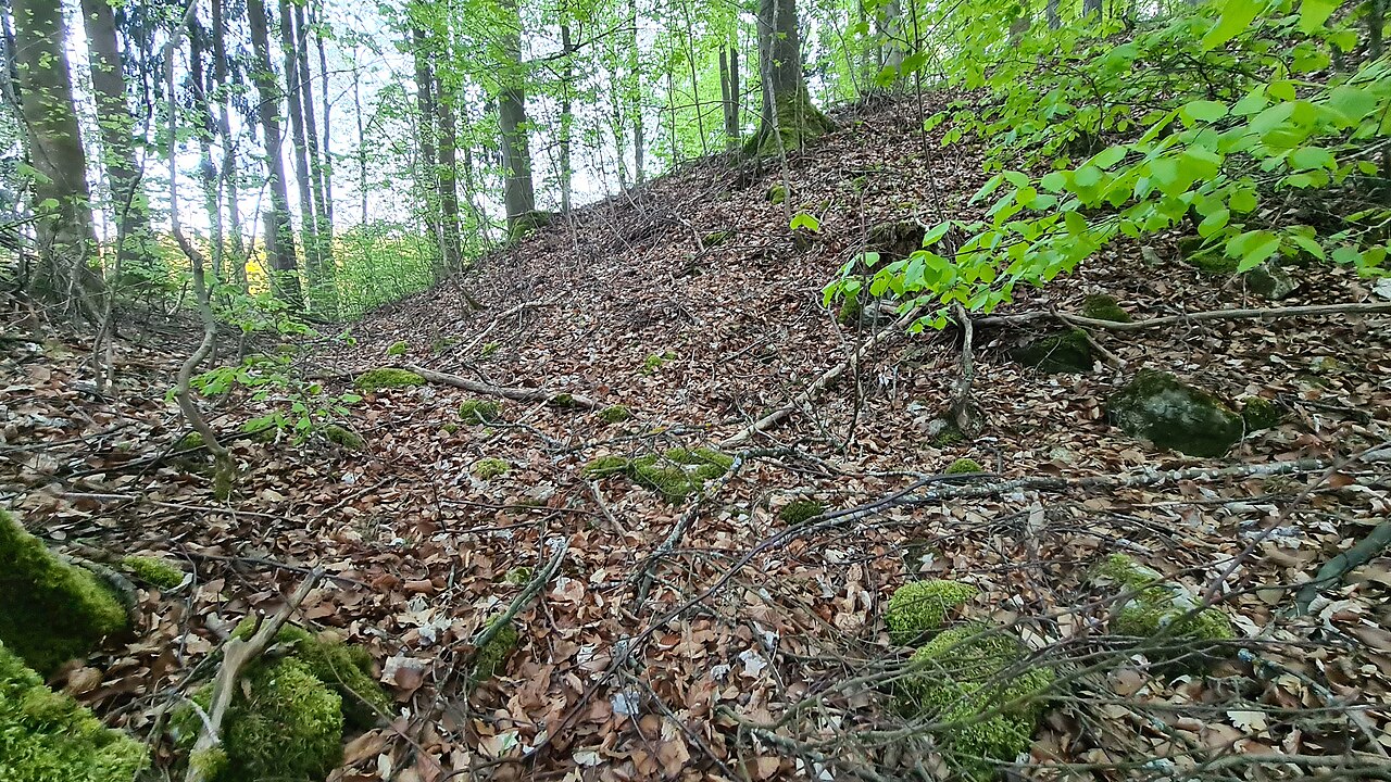 Zustand der abgegangenen Höhenburg bei Gechingen im April 2020