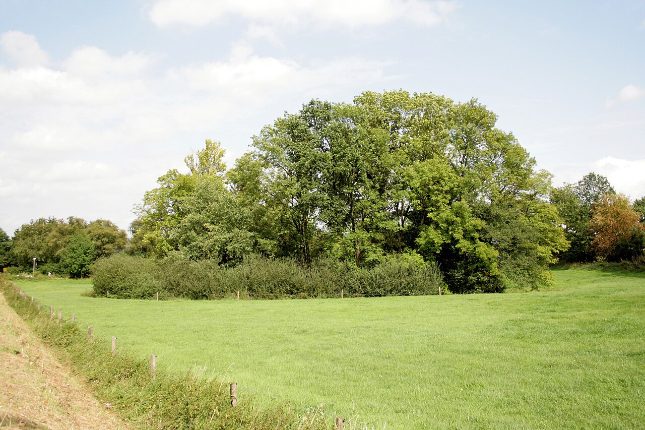 Wasserburg Gevern in Neuenrade -Küntrop
