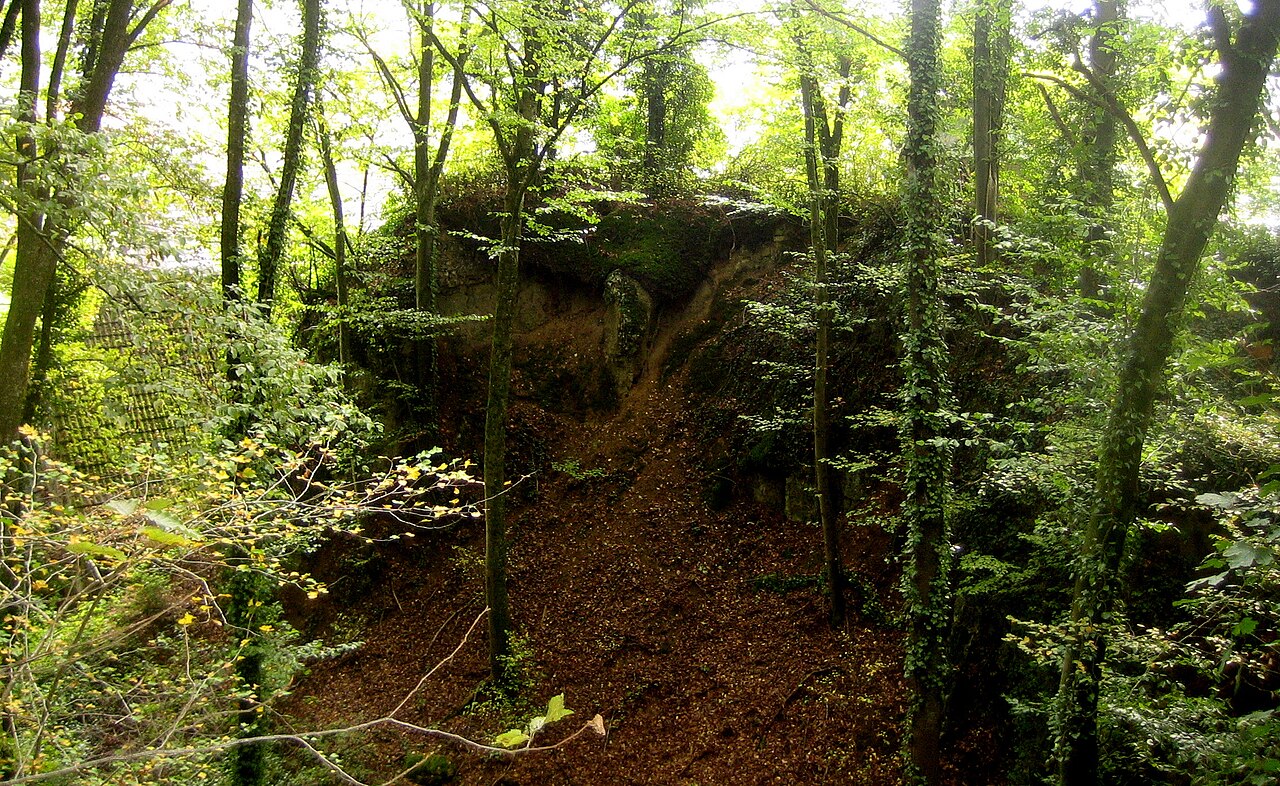 Felssporn bei Hammerstein (Kandern) der bis zur Sprengung 1913 eine Burgruine trug