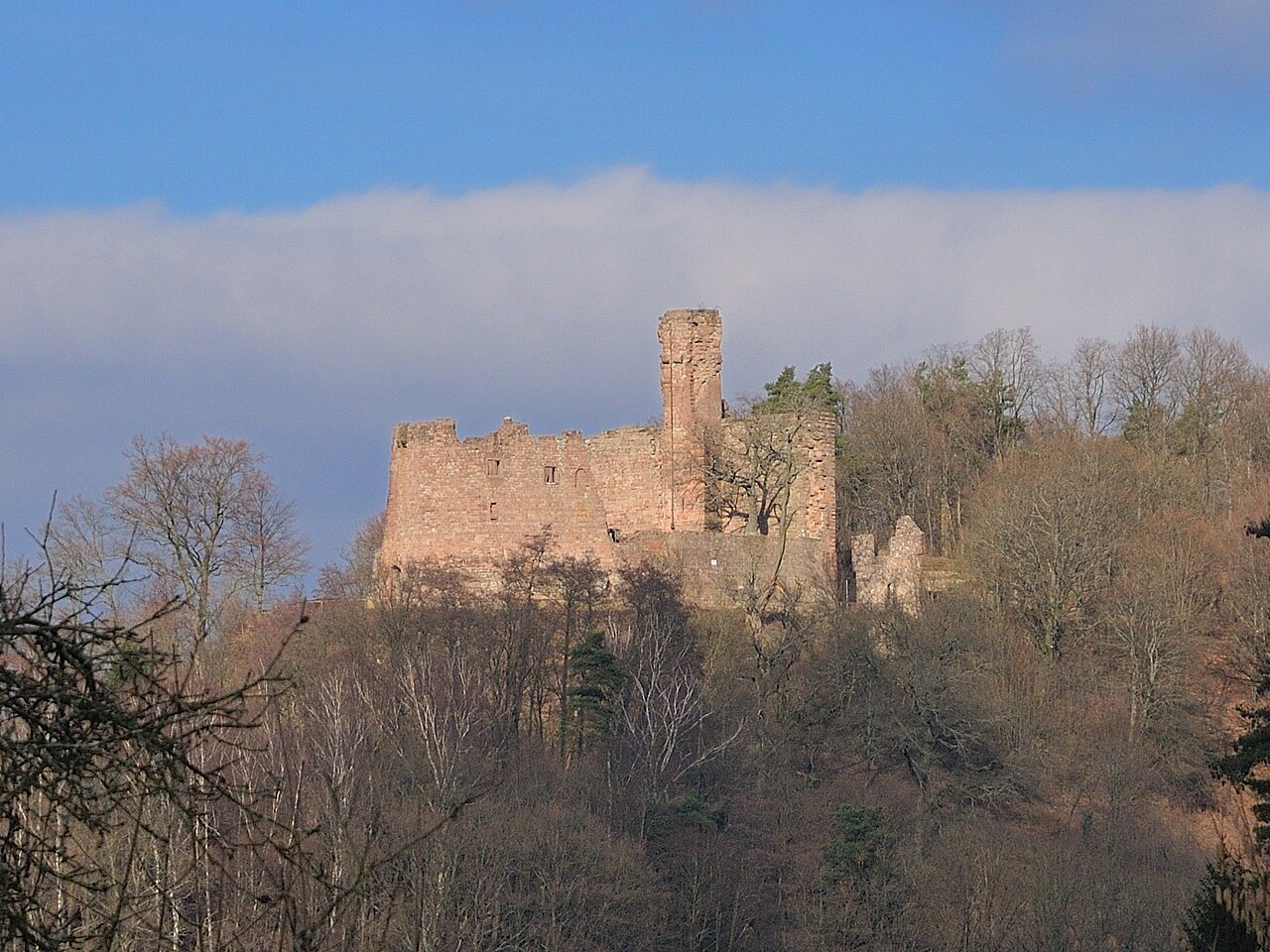 Castle Hohenecken