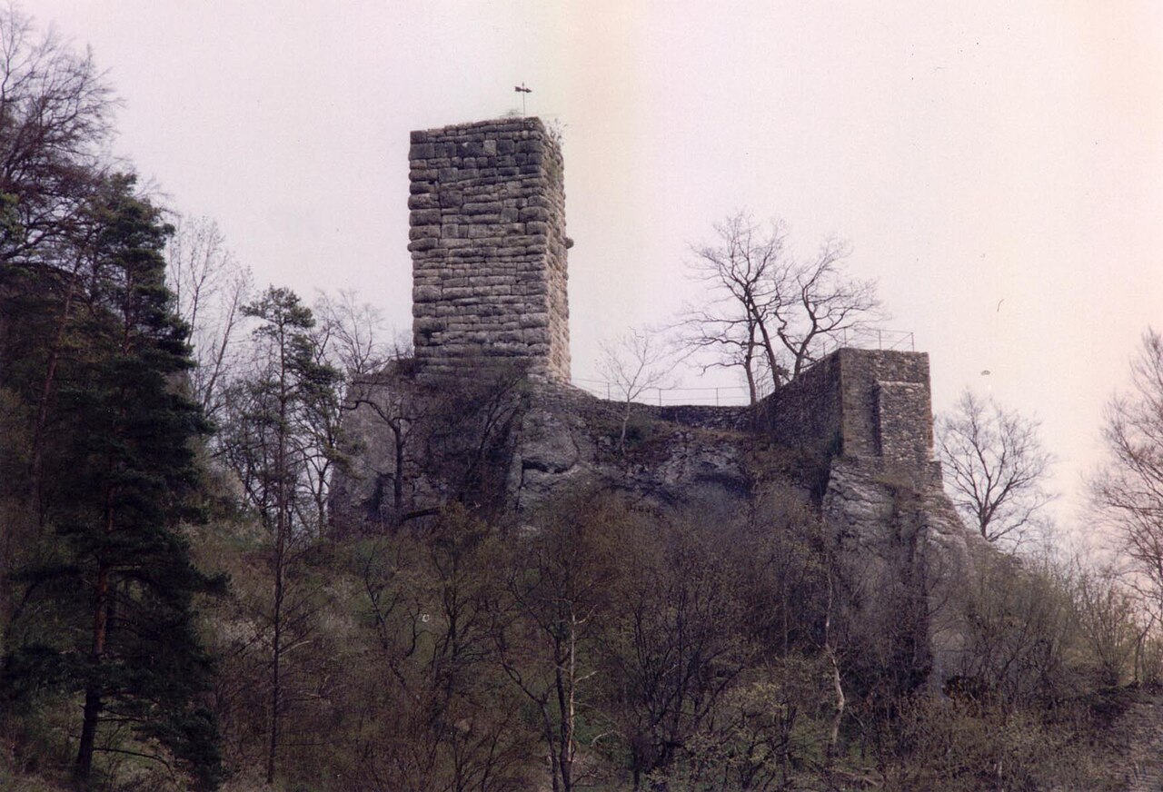 Burg Hohenhundersingen, Westseite