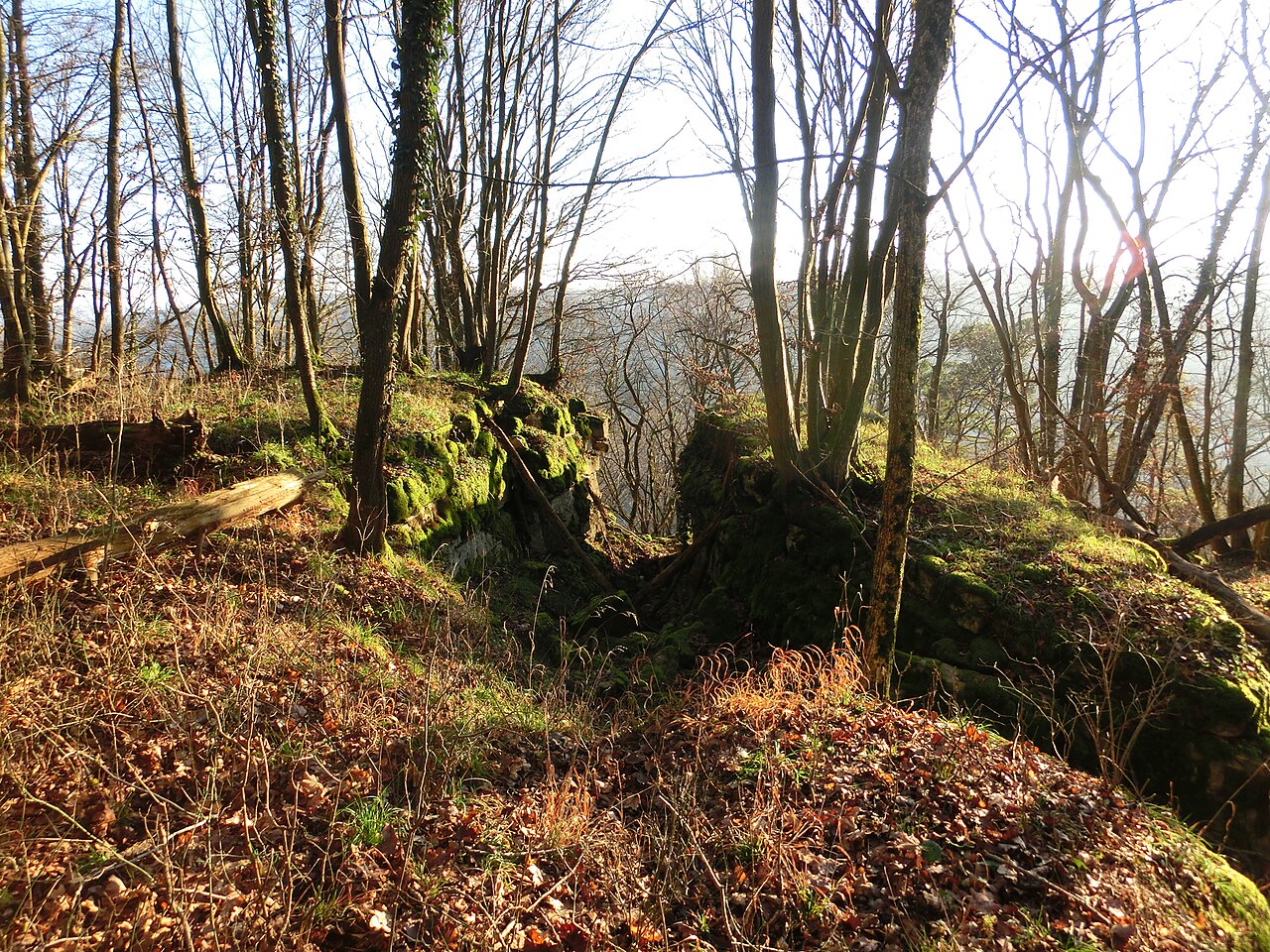 Former Castle of Hopfach