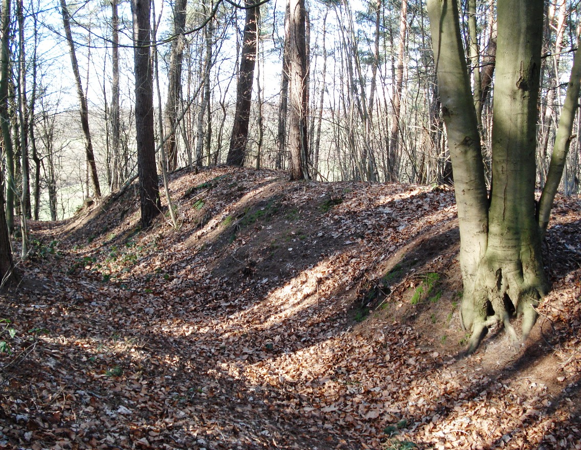 Vorburgwall Süd im Riesebusch in Bad Schwartau