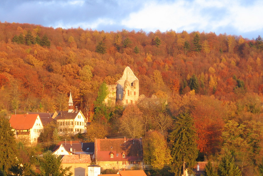 Burg Landeck i