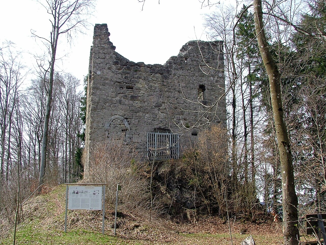 Ruine Langenegg