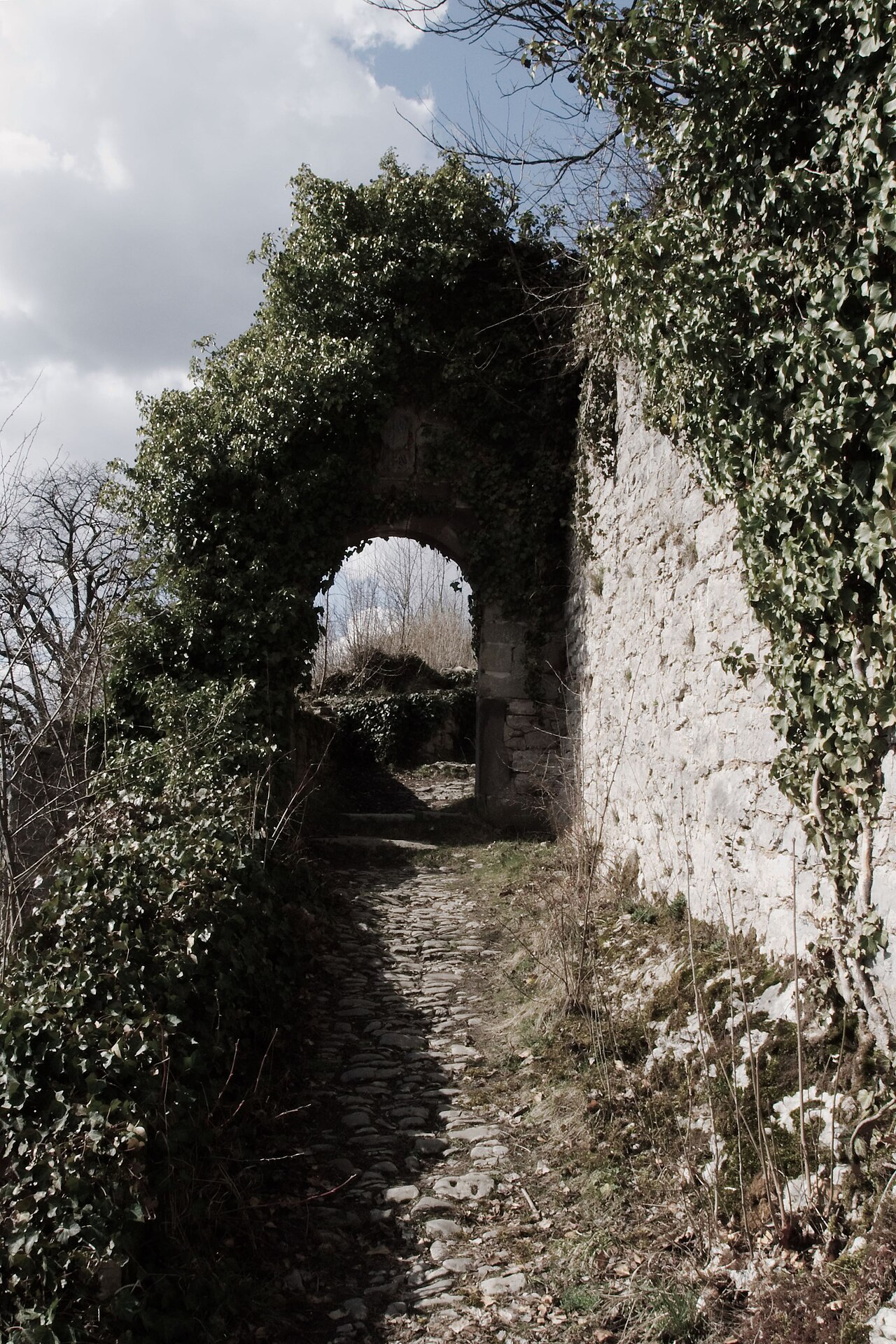 Burgruine Limpurg