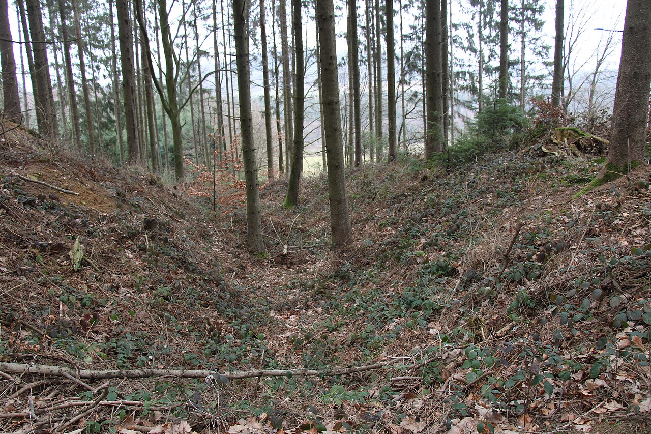 Burg Mohrenstetten Graben bei Vorburg Richtung NO von Weg aus aufgenommen