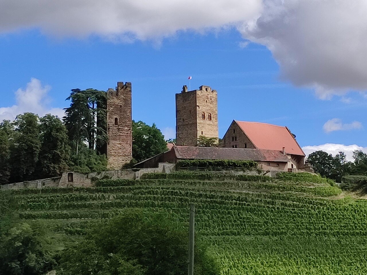Foto von Burg Neipperg