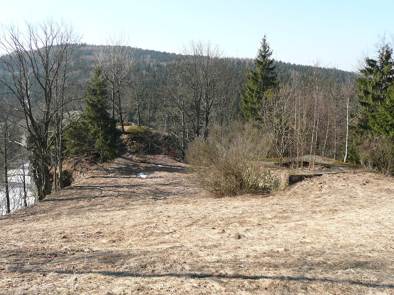 Foto von Burg Nidberg