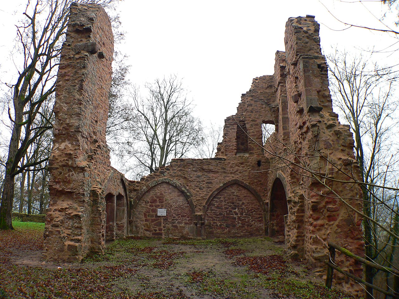 Burg Rauschenberg (Ruine) in Rauschenberg, Hessen, Deutschland