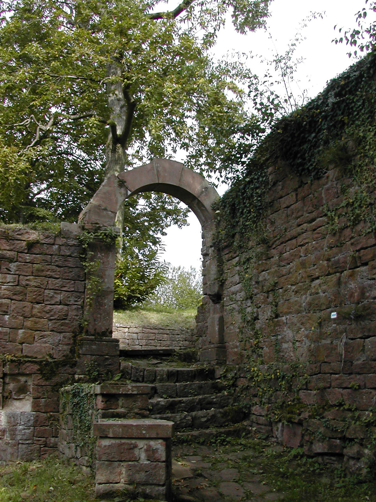 Burg Reichenstein in 69151 Neckargemuend/Germany