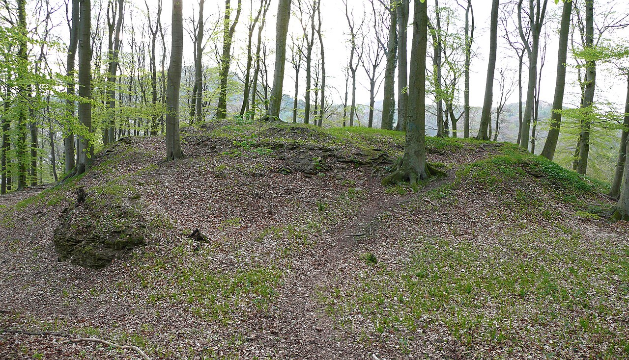 Burgplateau der Burg Roden