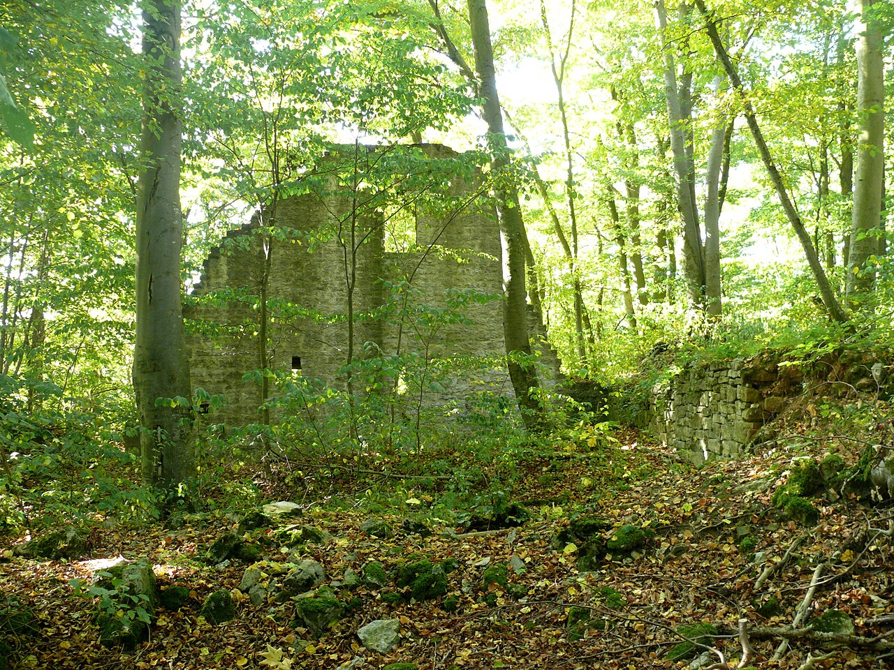 Bugruine Seldeneck, Creglingen (Wandrest eines Wohnbaues, Hofseite)