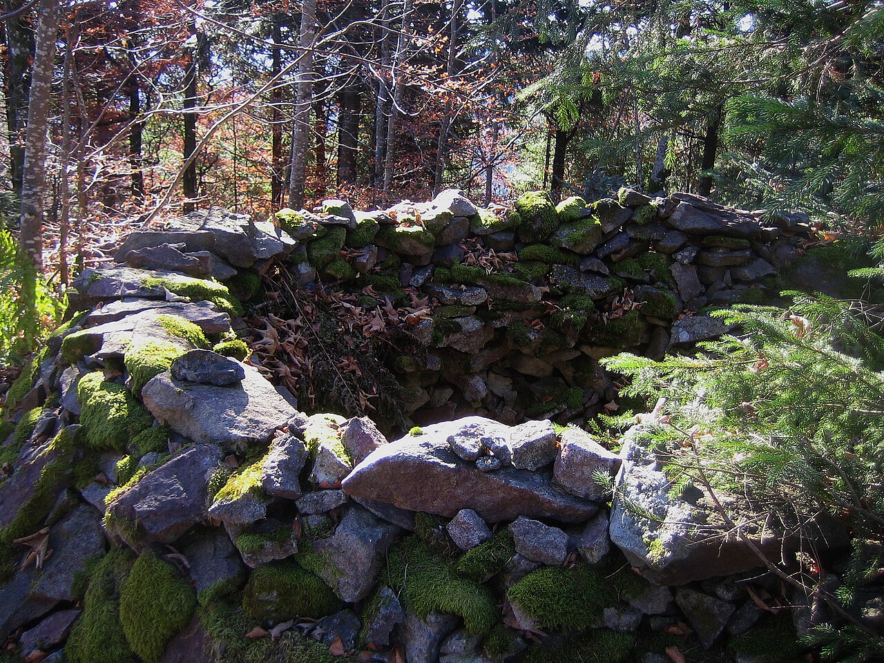 Mauerreste auf dem Stockberg bei Marzell
