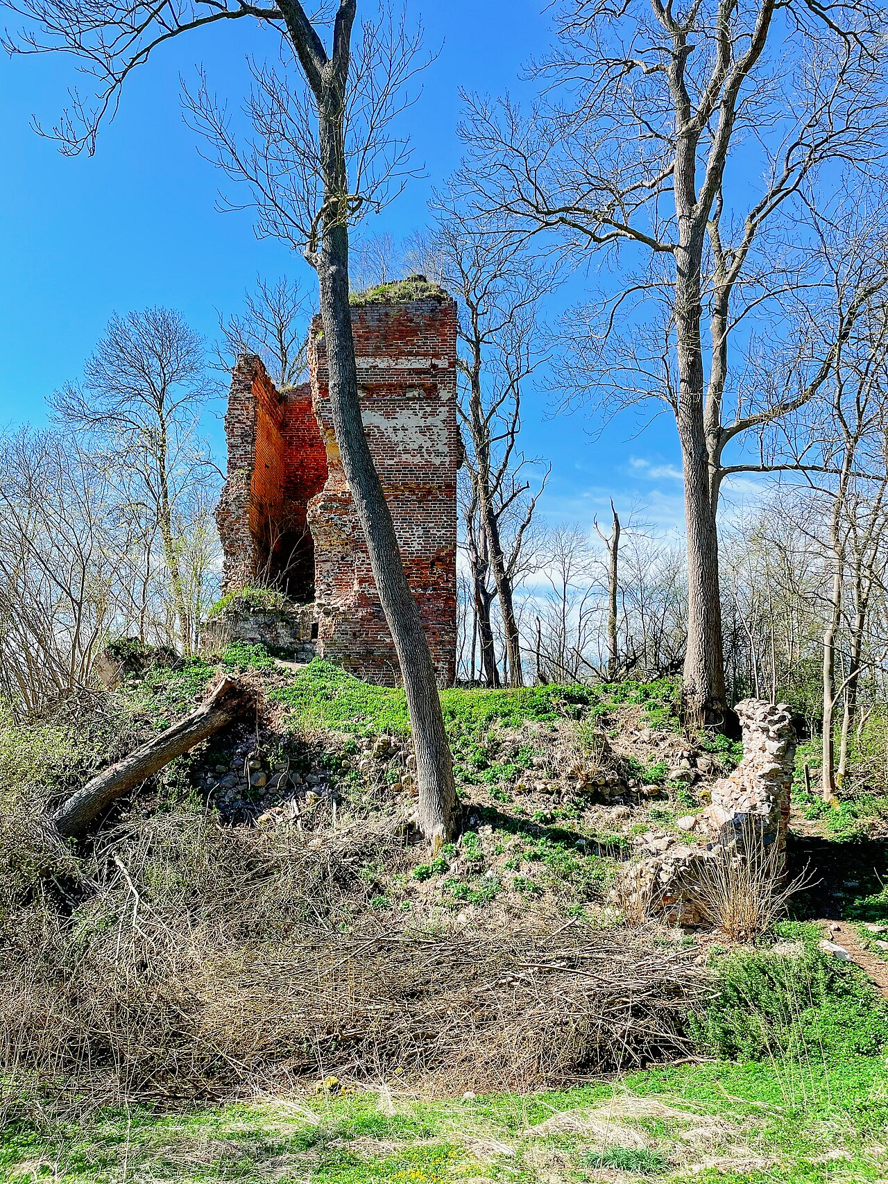 Ruine des Wohnturm des Wasserburg Stuer