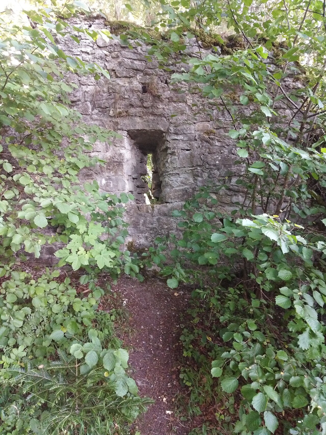 Burgruine Urslingen - Gmd
