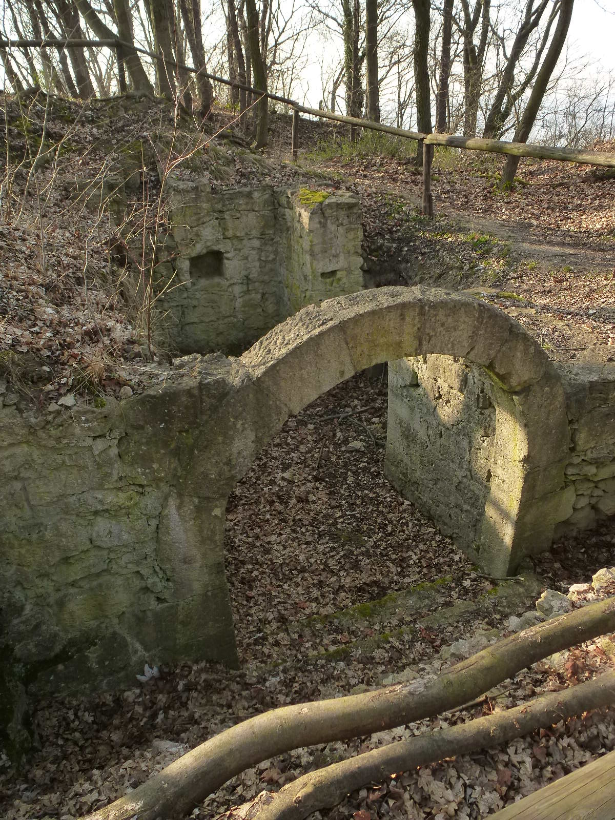 расокопанный в 1923-1926 гг