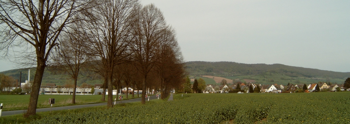 "Burgberg", with village "Bevern" in front