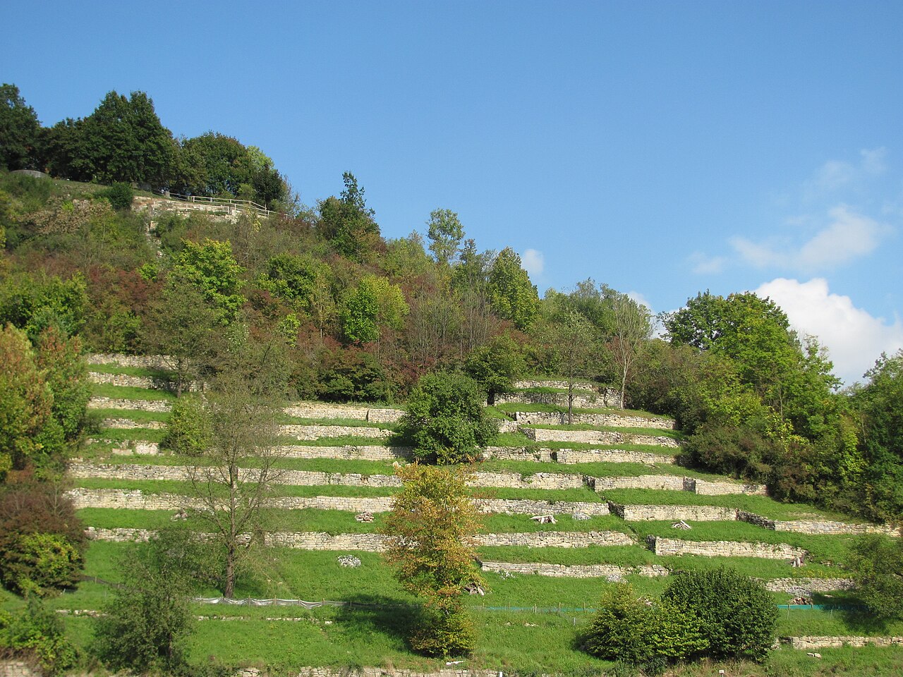 Trockenmauern am Burgberg in Steinheim